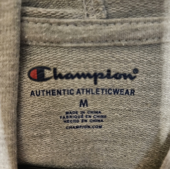 Boys Champion hooded sweatshirt gray with blue and white logo size Med - Picture 2 of 3
